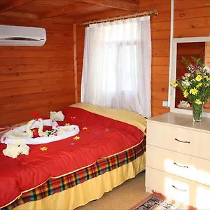 https://happy-nur-hotel.oludenizhotels.org